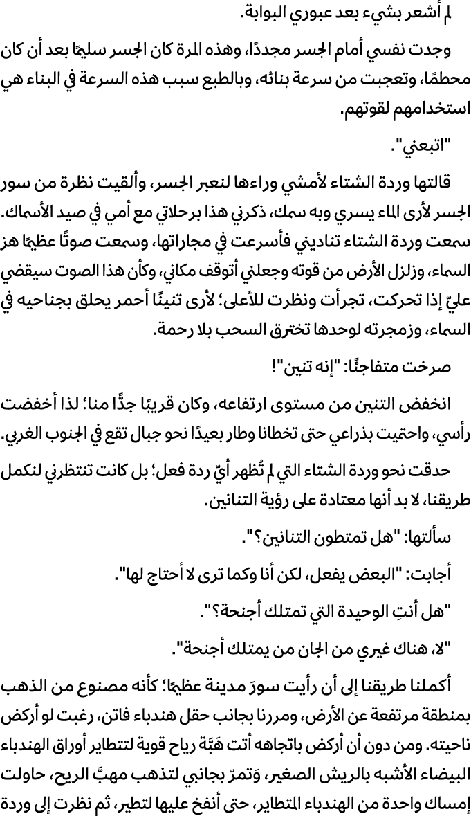 لم أشعر بشيء بعد عبوري البوابة. وجدت نفسي أمام الجسر مجددًا، وهذه المرة كان الجسر سليمًا بعد أن كان محطمًا، وتعجبت من...