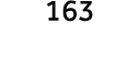 163